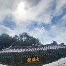 구룡사 Daum카페