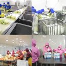 아리아유통 이미지