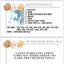 사시행시