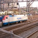 H1354 이미지