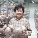 산속농장 이미지