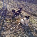 월천농장 이미지