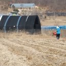 해마루농원 이미지