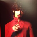 허니퍼니 이미지