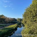 더케이호텔서울 | 더케이호텔서울 학회 및 행사- 주차, 공간, 도시락 후기