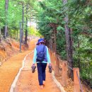 오소리약수터 이미지