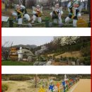 나비공원2(주차장) Daum카페