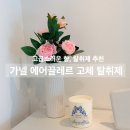아이끌레르 | 오브제 같은 향도 제품도 똑똑한, 가넬 에어끌레르 고체탈취제 후기