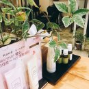 반 헤어 (Van hair)