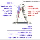 ﻿[션골프] 파워스윙을 향한 코일링, 그러나 주말골퍼의 실상은? 이미지