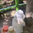 5월 6월 주말 성수기 경주월드 그리고 커피템플 경주앙주 ...