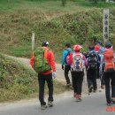 옹골농장 이미지