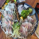 남또리 | 제주 애월 오션뷰 남또리횟집 고등어회 딱새우회 내돈내산 후기