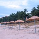 신안 우전 설레미 캠핑장 이미지