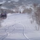 일본 북해도 스키,보드 여행 관심있는 분들에게.. 이미지