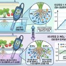 질산염 vs 암모늄 이미지
