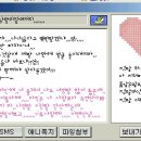 버디버디B 이미지