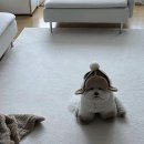 멜로우카페 - 남동구 남동대로 879 | 멜로우카페