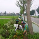 둔포농협미곡종합처리장 이미지