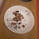 와즈펫(wispet) 이미지