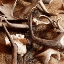 경희바른맥한의원 이미지