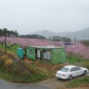 지천주유소 이미지