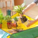 (봄맞이) 홈가드닝 이미지