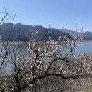 원동교통(주) 이미지