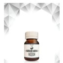 모터 케이 코트 이미지