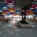 조우민박 이미지