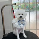 와니살롱 이미지