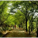 (8.27.토) 백양숲길, 운수사, 운수계곡 부산근교 초보 오후산행(감전역 오후4시) 이미지