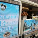 정한개발(주)(서울센터빌딩)