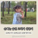 혁신꿈소아치과의원 | 손 빠는 습관 고치기 핑거세이버 손가락문어책 나만의 꿀팁