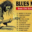 TOP 100 BEAUTIFUL BLUES SONGS 2024 이미지