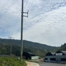하빈수산 네이버블로그