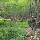 토브모터스 이미지