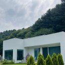 머스트화이트2동 이미지