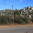 석림4로 이미지