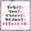 으뜸플러스안경신제주점 이미지