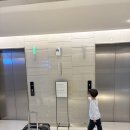롯데시티호텔 김포공항: 슈페리어 패밀리 트윈룸 공항 뷰, 씨카페 조식 후기