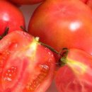 토마토스토리 이미지