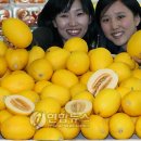 금홍유통