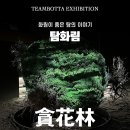 팀보 이미지
