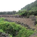 종달초등학교 이미지