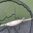 준현 바이오 이미지