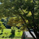 코트야드 바이 메리어트 수원 이미지