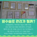 라파전위 이미지