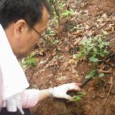 태기산농장 이미지