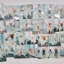 장보는강아지와고양이 신호점 이미지